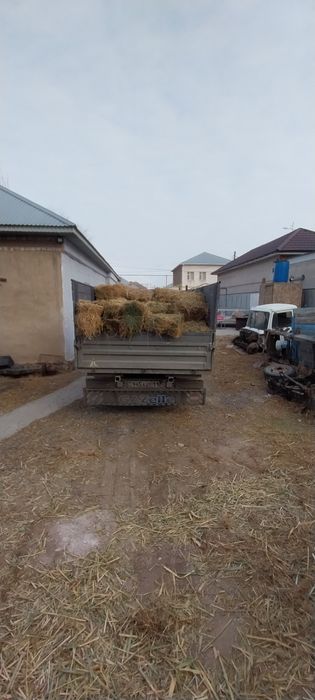 Жонышка прес бар гогольде