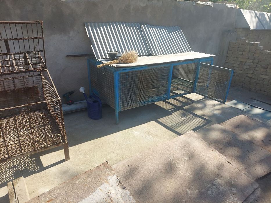 Клетки для крылатых