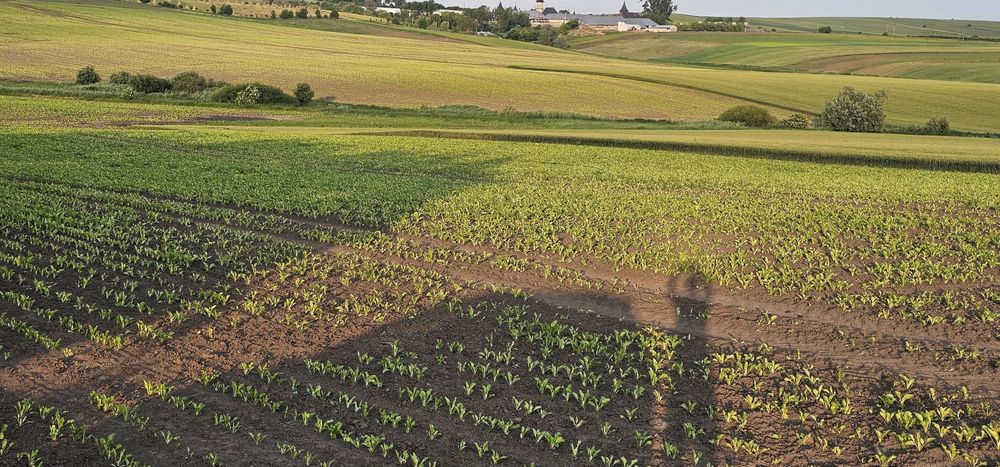 Servicii agricole cu drona