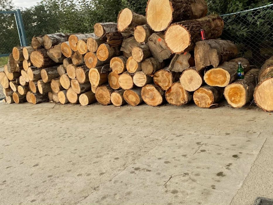 Vind lemne de foc esență tara fac carpen și stejar