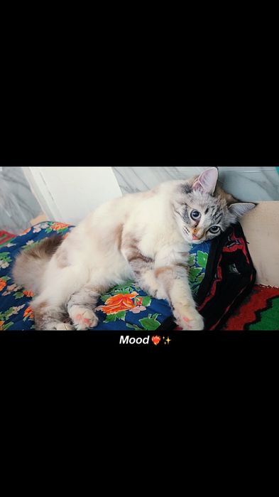 Ajoyib imkoniyat narhini kelishamiz