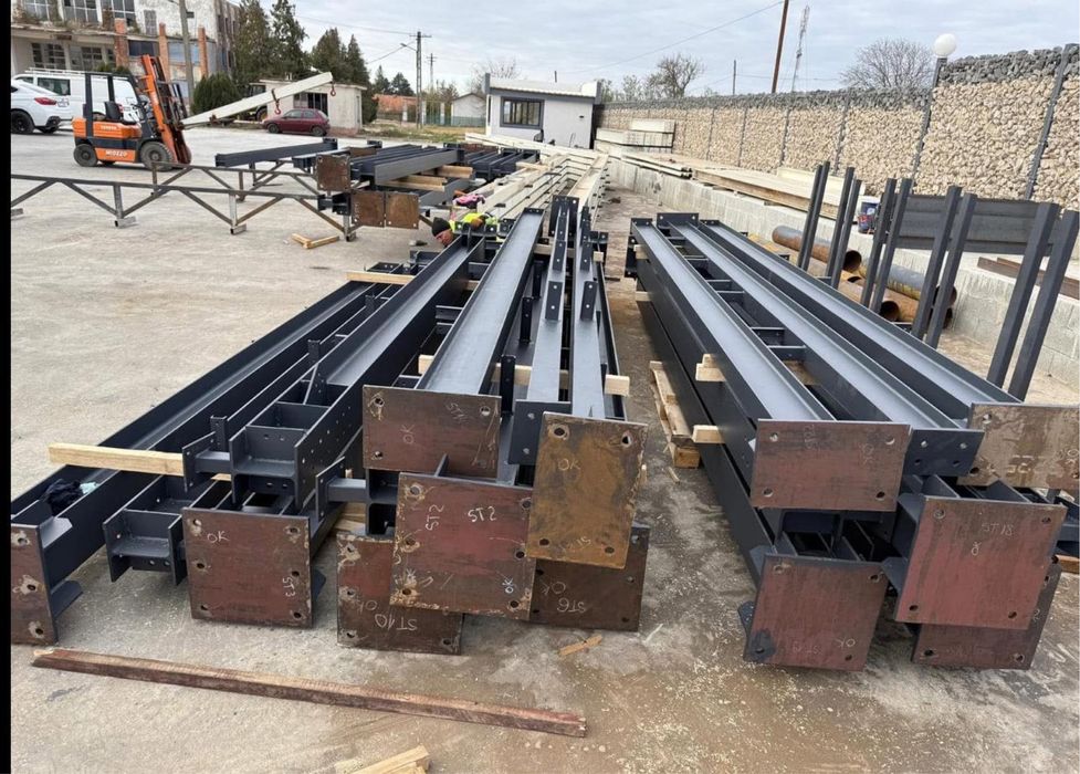 Structura metalica 20x50