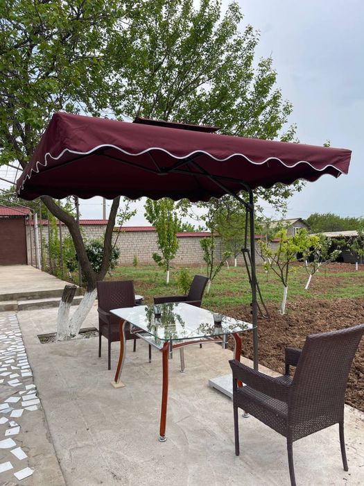 Садавой зонтик из первых рук