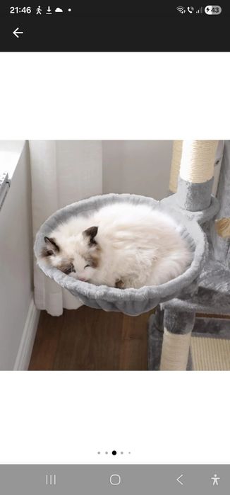 Anunț vânzare – accesorii pentru pisici (stare foarte bună / noi)