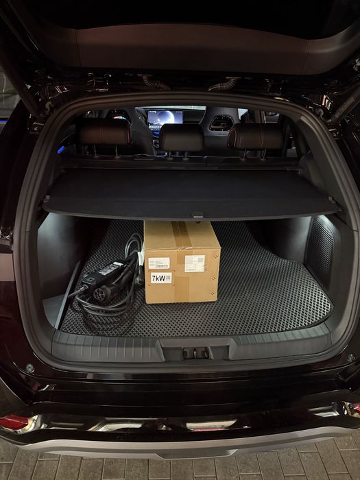 BYD Champion Гибрид 150км