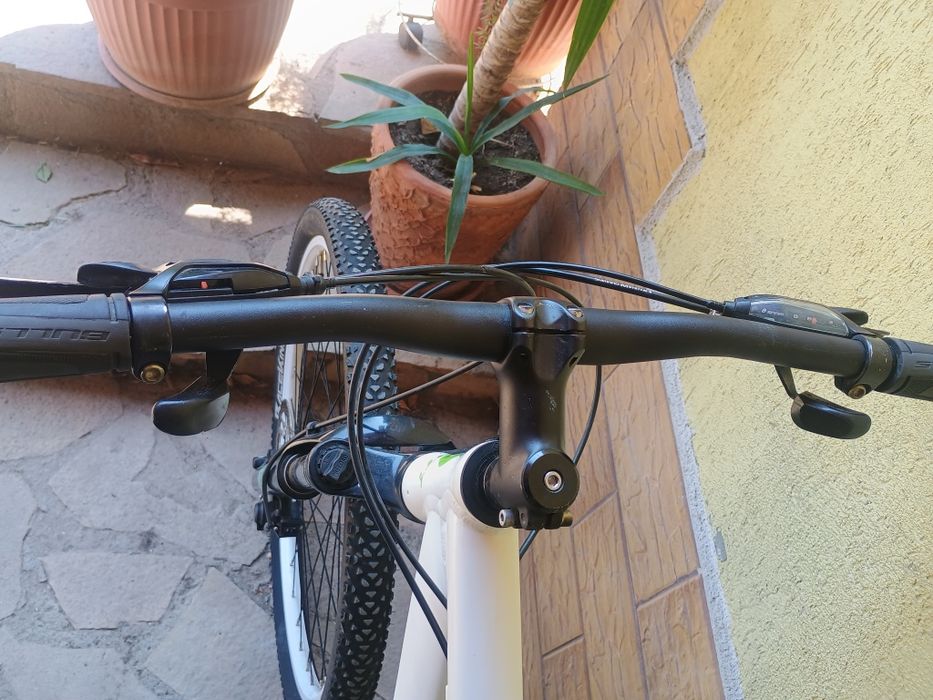 Scott 26 цола    .