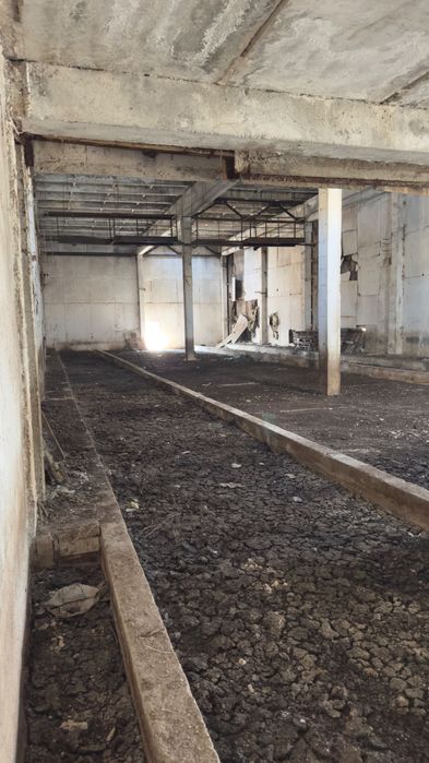 The factory space of 62,000 square meter with refrigerator for 500 ton