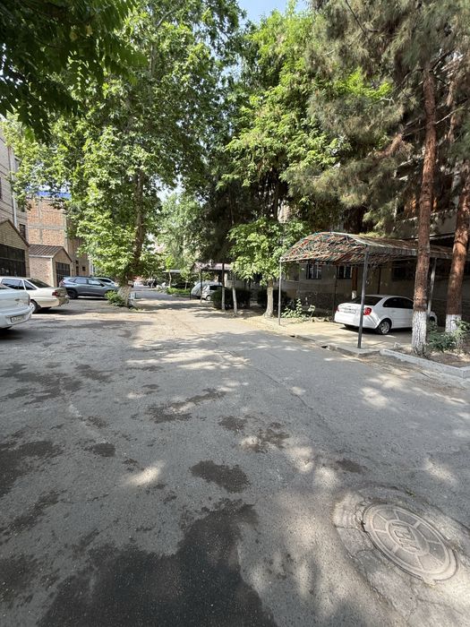 3 хонали хонадон