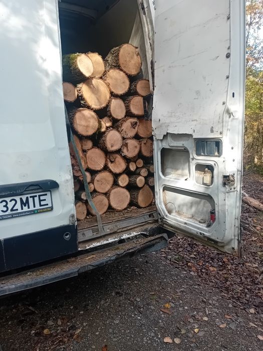 Vând lemn de foc esență tare