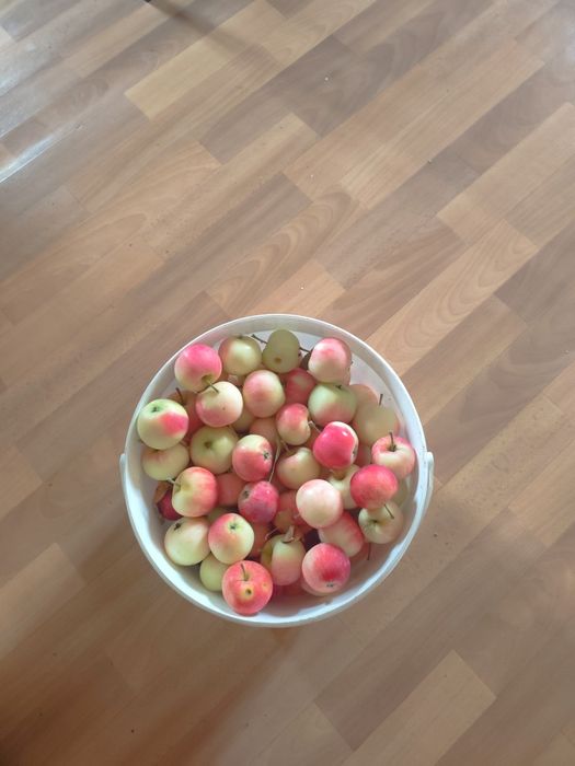 Продам яблочки в центре