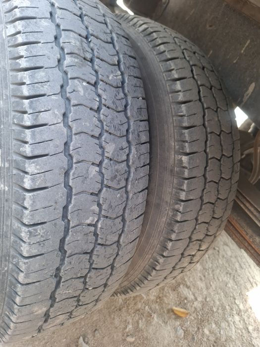 Shinray T 50 mator 1.6 sepli