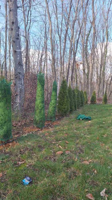 Мрежа за туя (мрежи за туи)