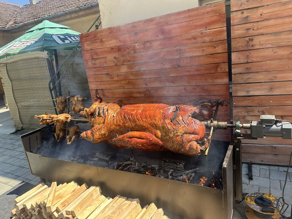 , porc , berbec , vitel , toate facute la protap!