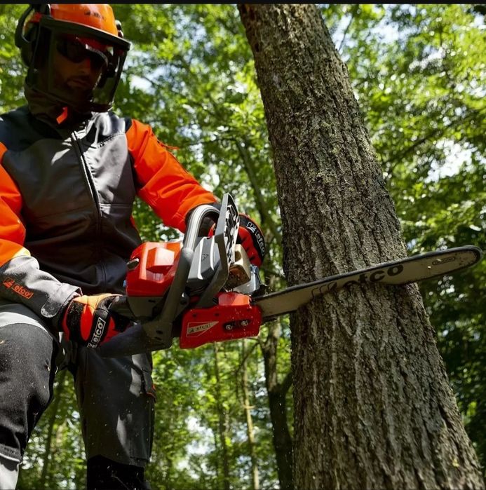 Ағаш кесу спилим деревья