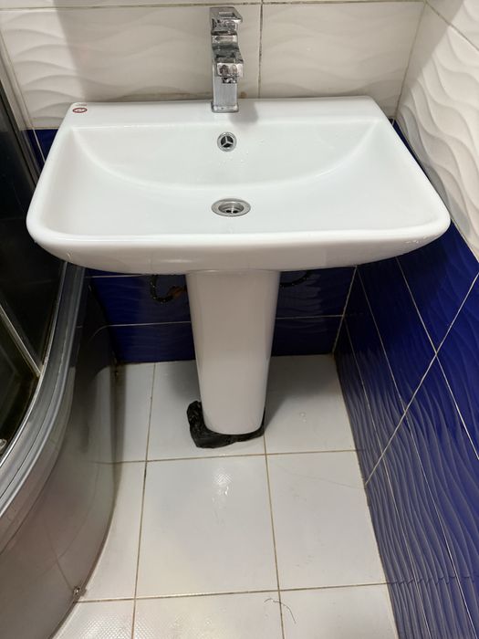 Раковина иранская