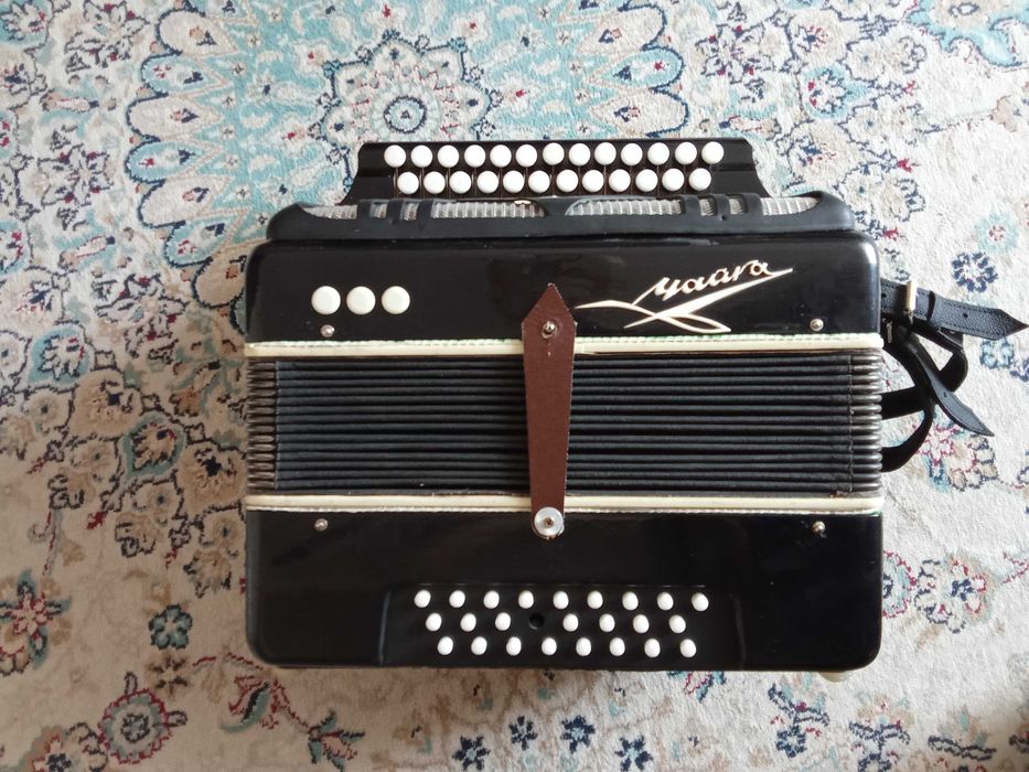 Баян детский Чайка