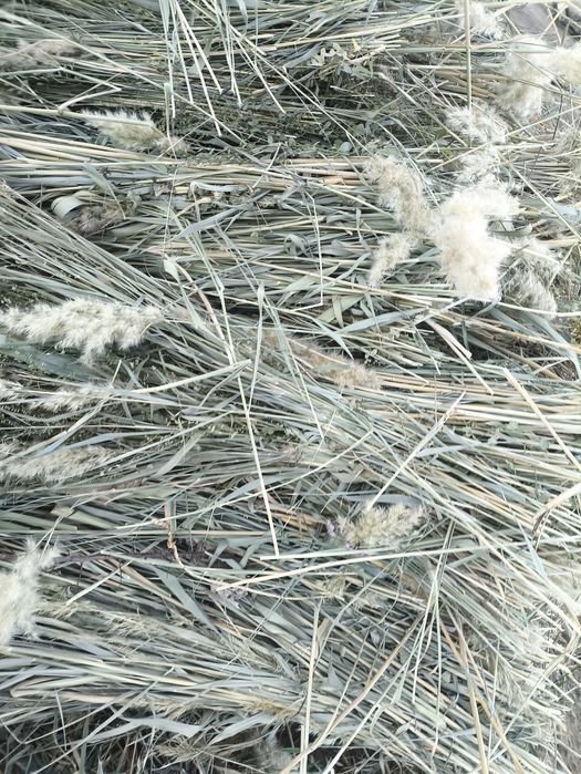 Баушөп сатылады,қолмен орылған