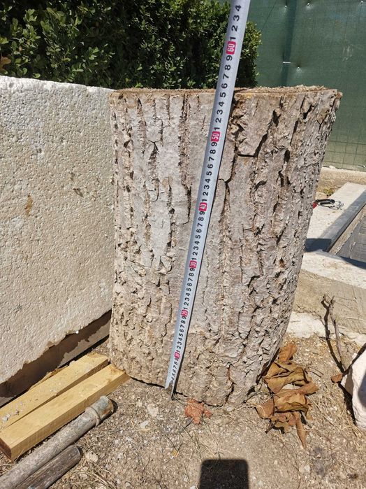 Продавам орехов дървен материал