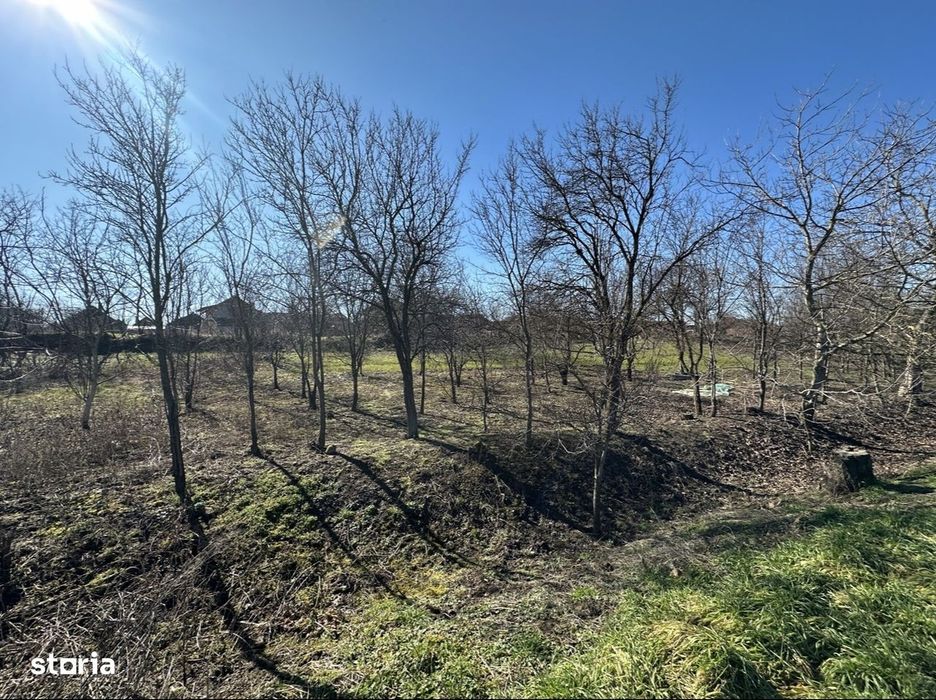 Teren Intravilan in Ambud