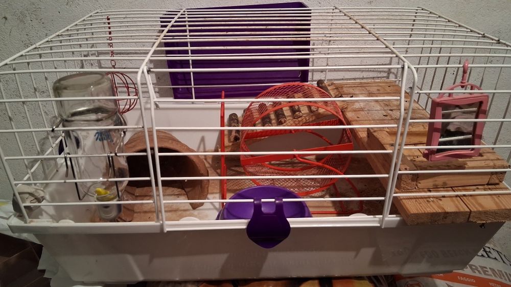 58/30/36 Клетка за гризачи+оборудване