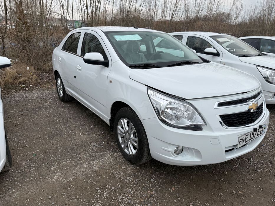 Кобалть 2023 тозза