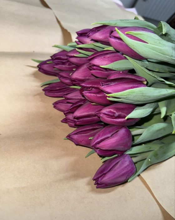 Тюльпаны оптом и в розницу