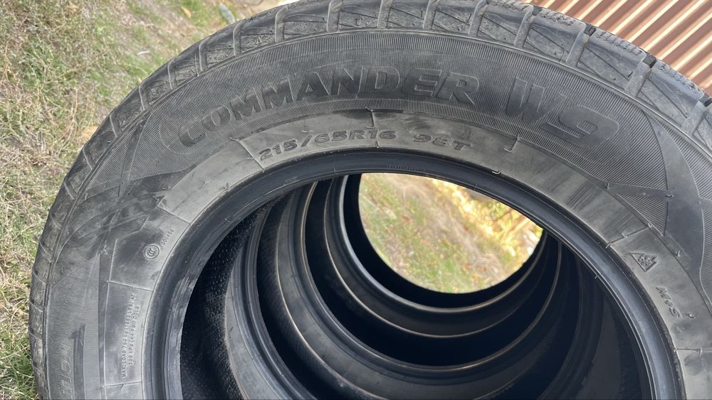 Автошины зимние резина