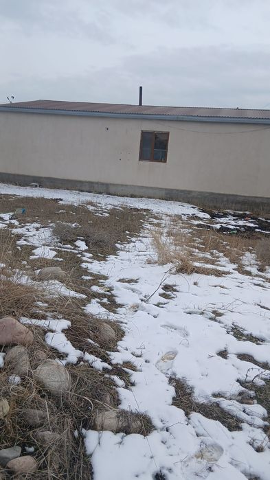 Продам дом в Ашибулаке