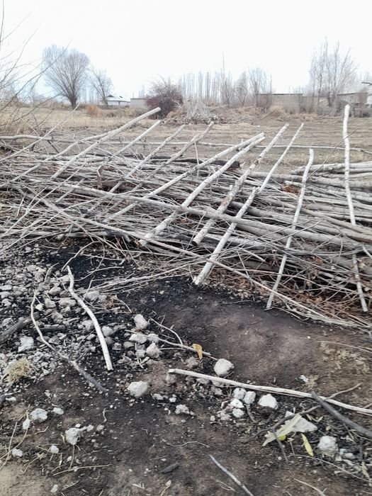 Утин сотилади(терак)