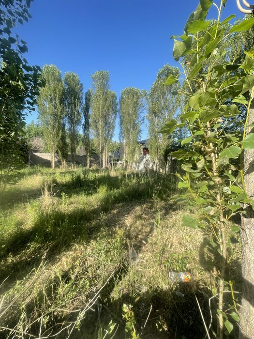 Ховлини ярими сотилади Зангата райони (текистил)