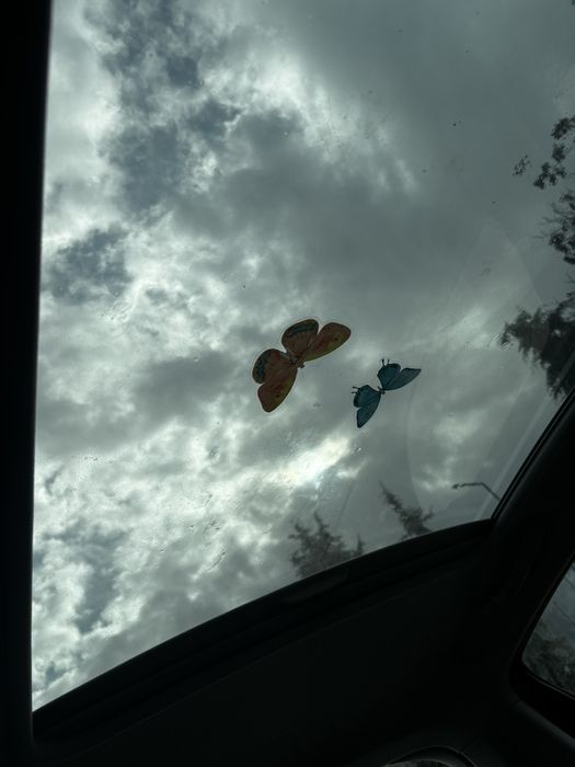 Пежо/Peugeot 207