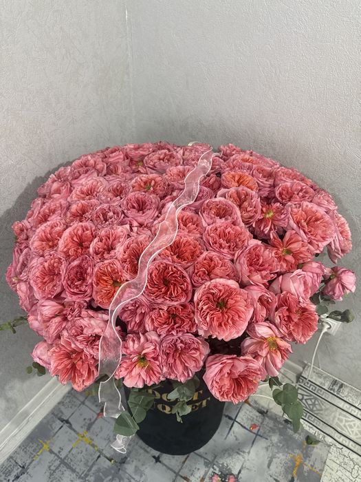 Примиальные голландские розы