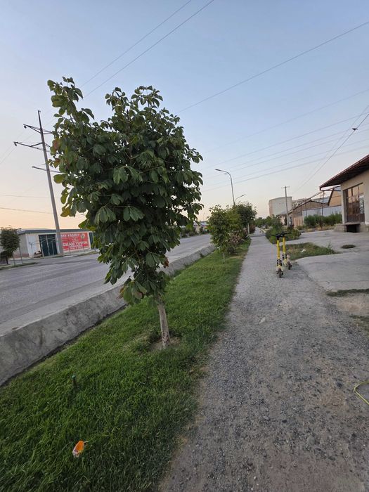 Magazin Obekt sotiladi