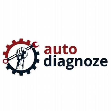 Tester Auto Diagnoza  Non stop Oradea la domiciliu