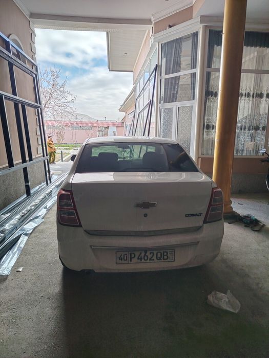 Cobalt tayyor kriditi bor 3-pazitsa