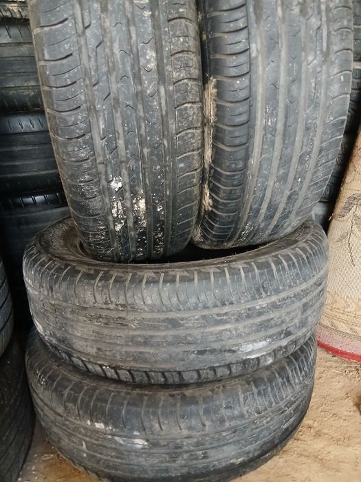 16 кардиант спорт