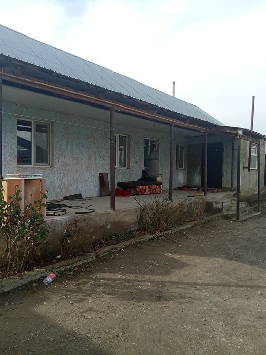 Дам продам массив араи