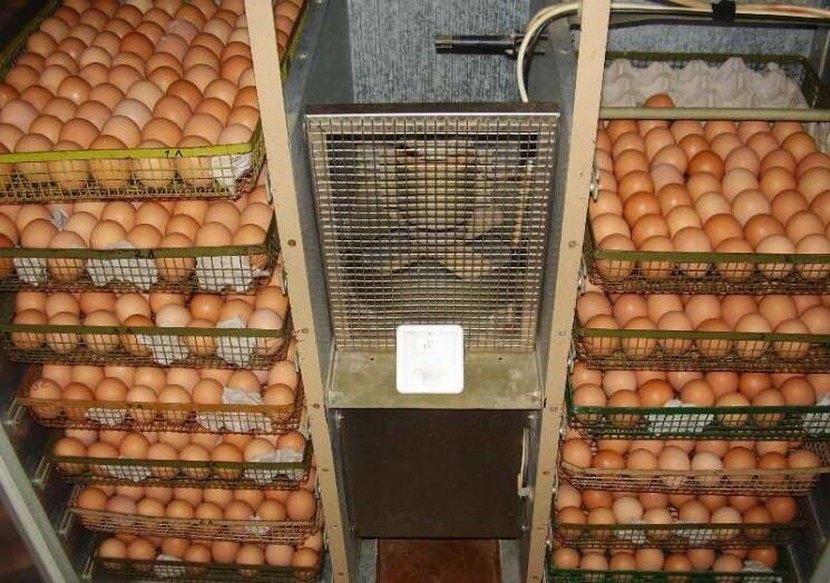 INKUBATOR XIZMAT larini taklif e’tamiz