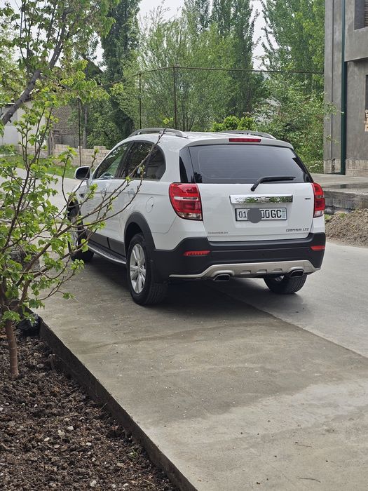 Kaptiva obmen masla kobiltga yoki jentraga