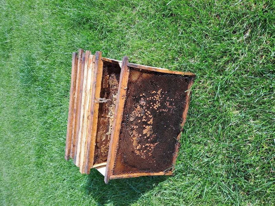 Рамки Суш. Улья.