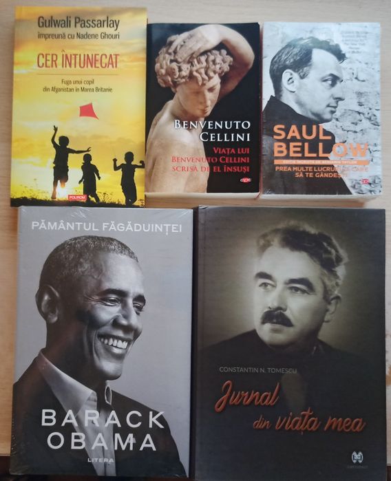 Biografii, jurnale, memorii