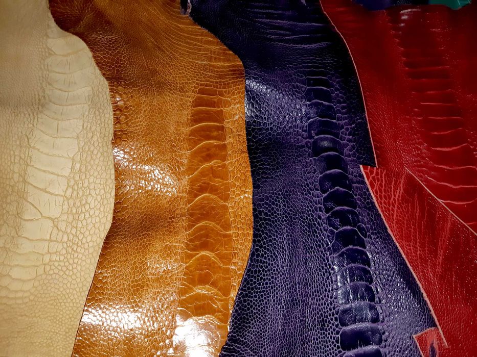 Кожа экзотических животных