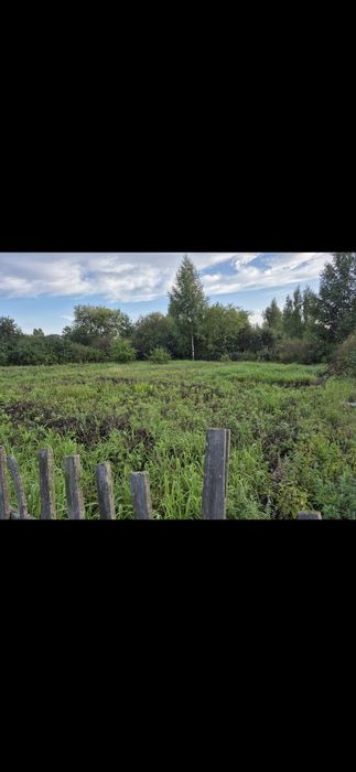 Дача в тихой роще