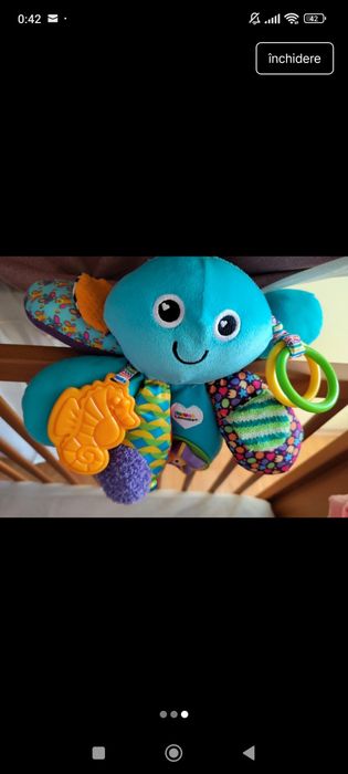 Caracatita interactiva