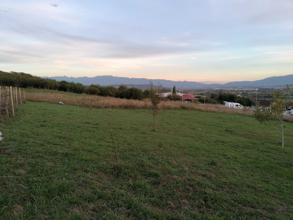 Teren construcţii strada Măceşului