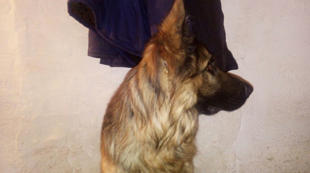 Вязка кабель 40 000