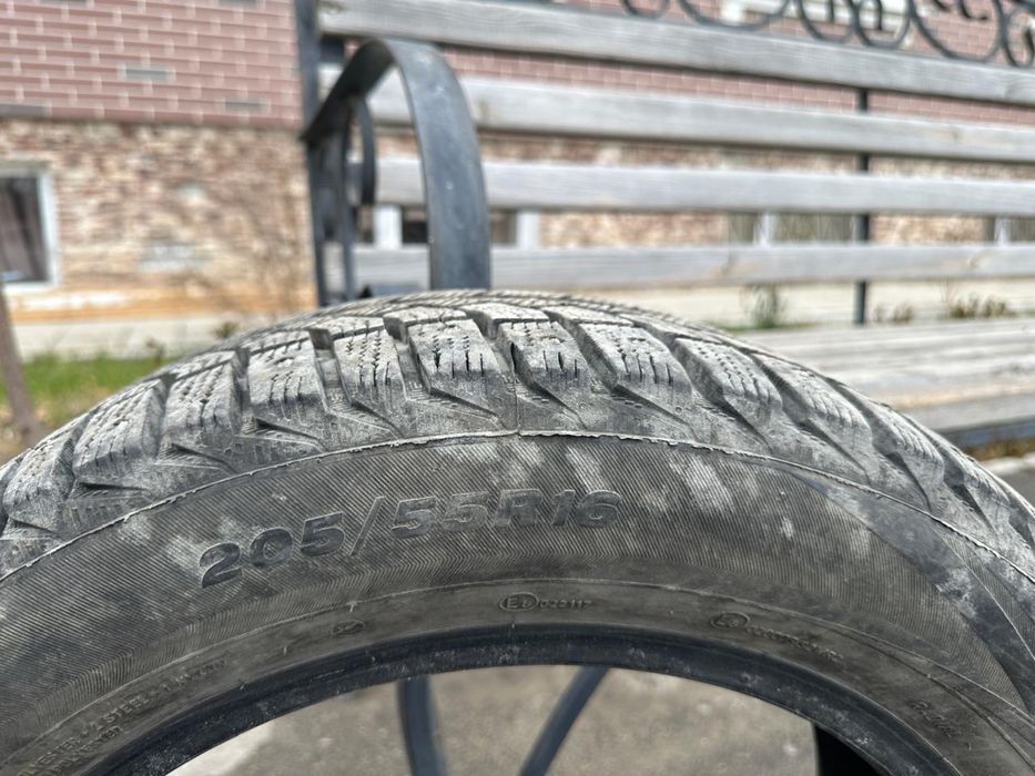 Шиный шиповоный