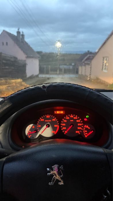 Vand Peugeot 206
