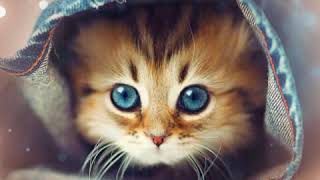 Lesbian tribbing xxx