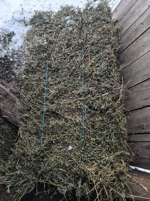 Baloți de lucernă dreptunghiulari